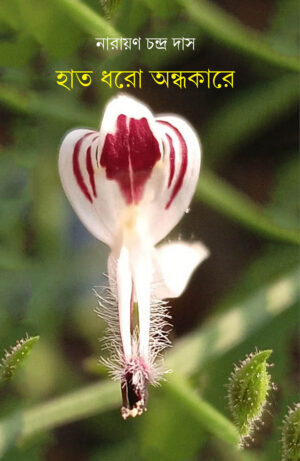 Haat Dharo Andhakare